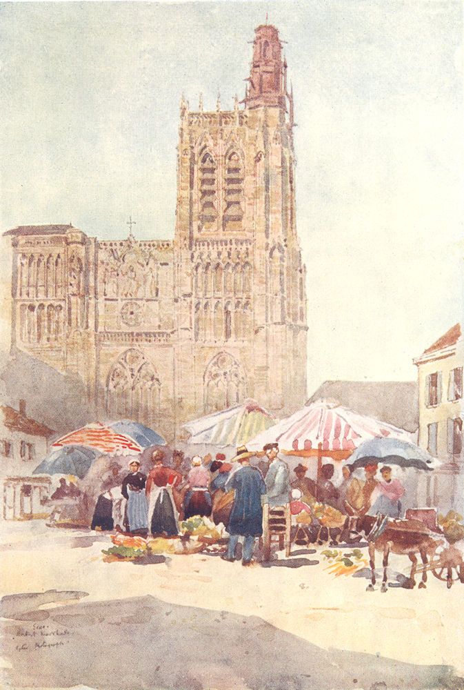 YONNE. Sens. Street market. Donkey 1907 old antique vintage print picture